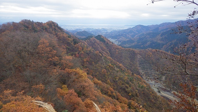 画像を等倍で表示します 画像