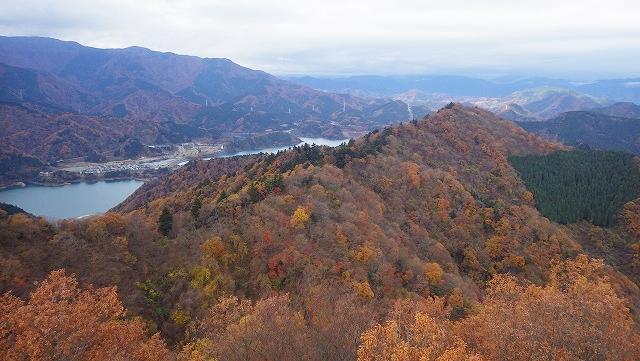 画像を等倍で表示します 画像