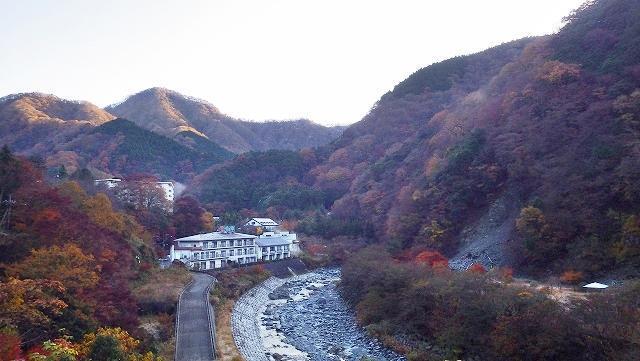 画像を等倍で表示します 画像