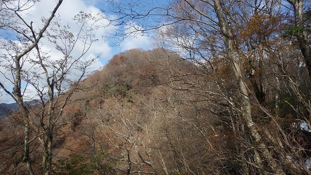 画像を等倍で表示します 画像