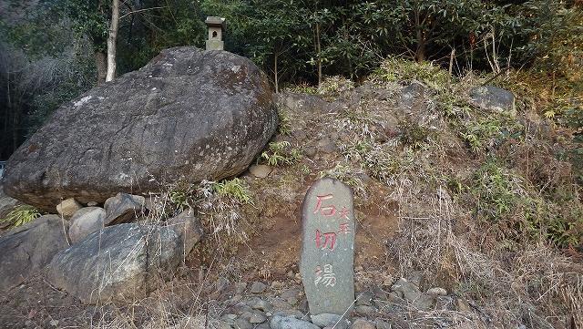 画像を等倍で表示します 画像