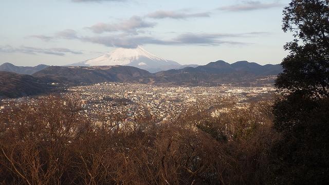画像を等倍で表示します 画像