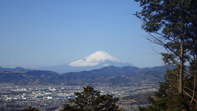 画像を等倍で表示します 画像