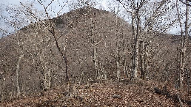 画像を等倍で表示します 画像