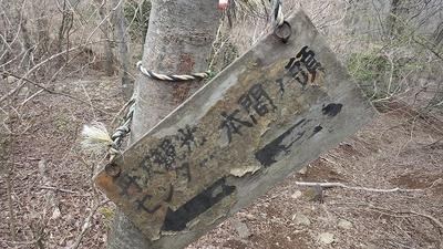 画像を等倍で表示します 画像