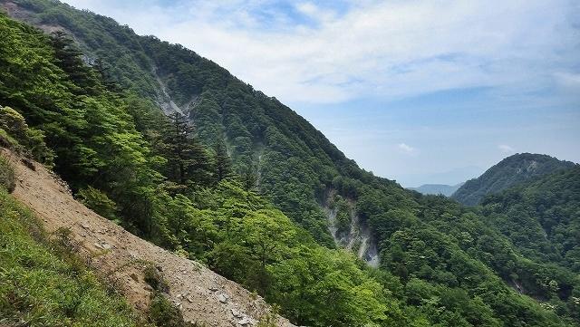 画像を等倍で表示します 画像