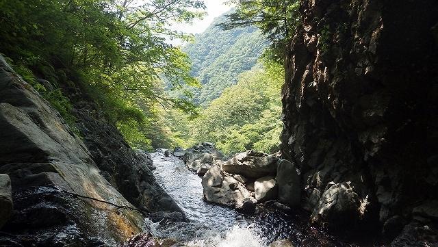 画像を等倍で表示します 画像