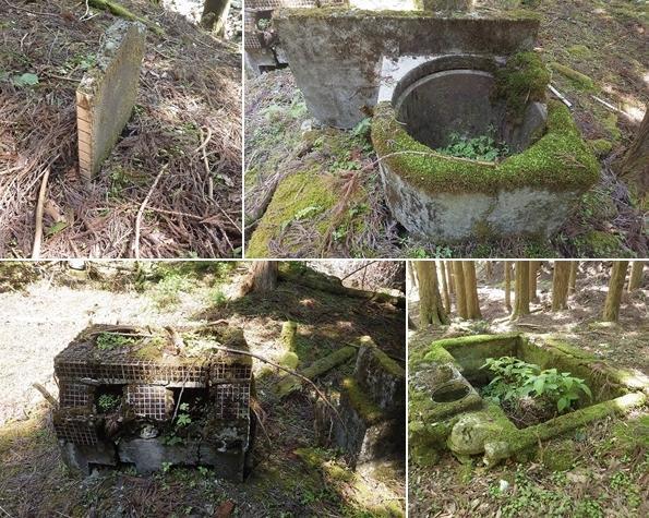 画像を等倍で表示します 画像
