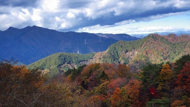 画像を等倍で表示します 画像