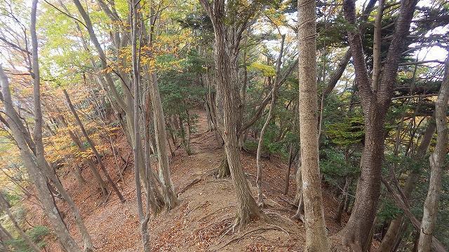 画像を等倍で表示します 画像