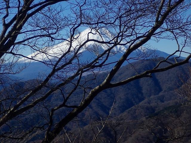 画像を等倍で表示します 画像