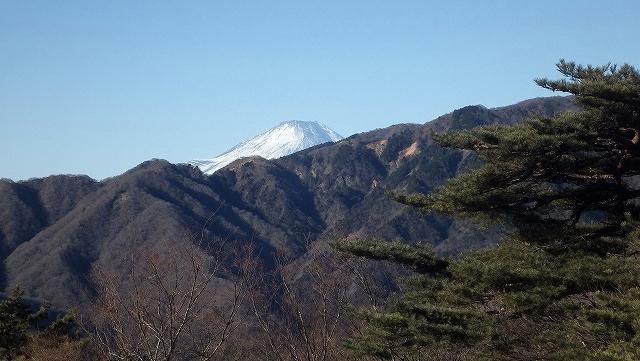 画像を等倍で表示します 画像
