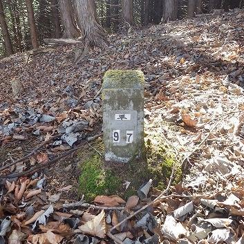 画像を等倍で表示します 画像