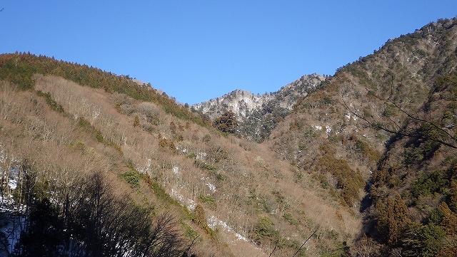 画像を等倍で表示します 画像
