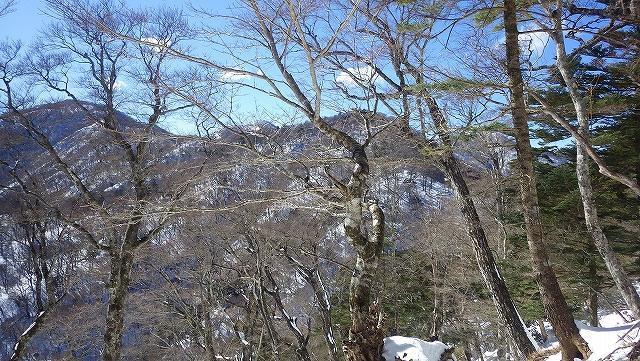 画像を等倍で表示します 画像