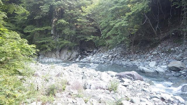 画像を等倍で表示します 画像