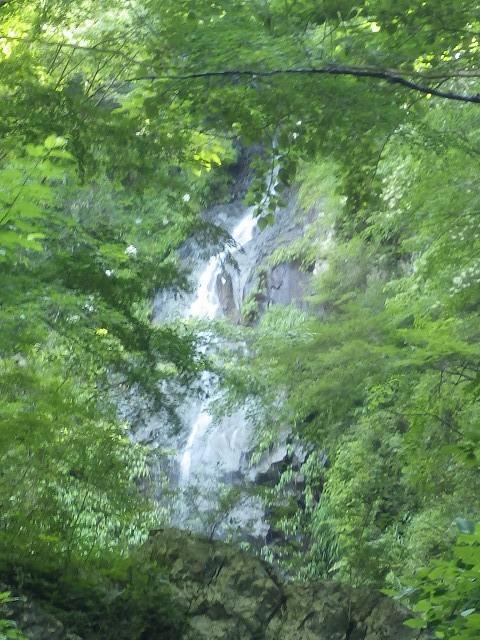画像を等倍で表示します 画像