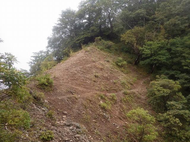 画像を等倍で表示します 画像