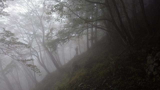 画像を等倍で表示します 画像