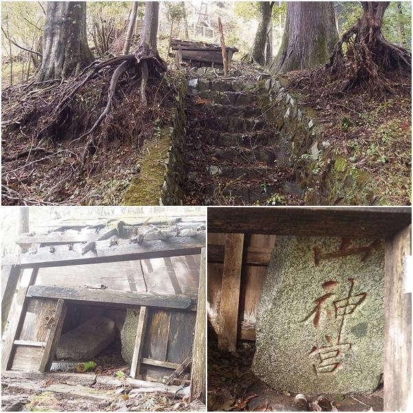画像を等倍で表示します 画像