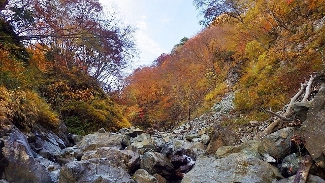 画像を等倍で表示します 画像