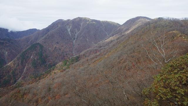 画像を等倍で表示します 画像