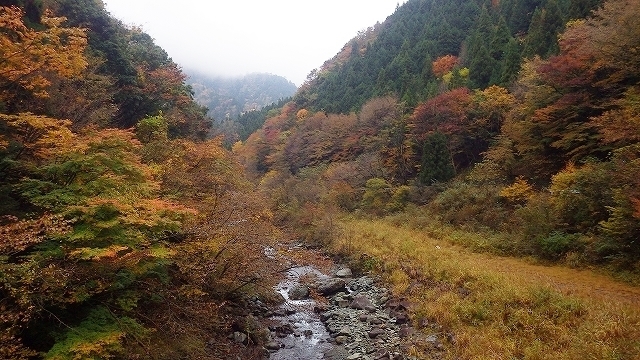 画像を等倍で表示します 画像