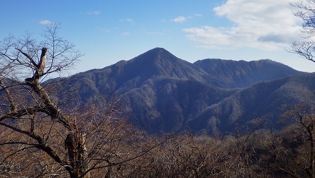 画像を等倍で表示します 画像