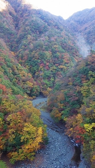 画像を等倍で表示します 画像
