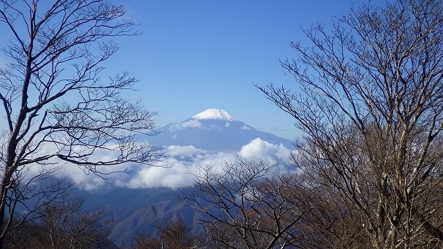 画像を等倍で表示します 画像