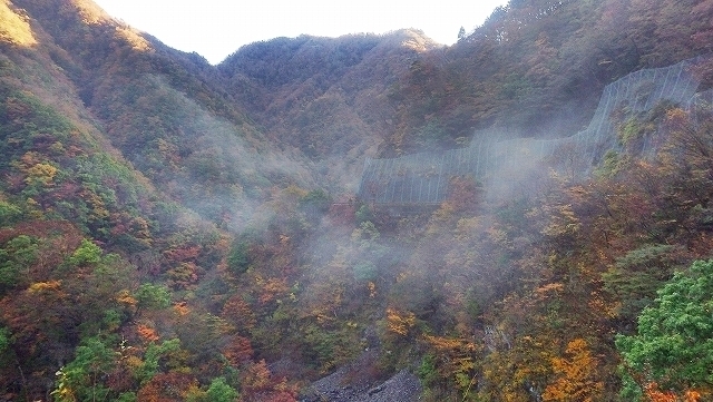 画像を等倍で表示します 画像