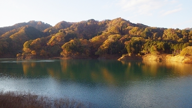 画像を等倍で表示します 画像