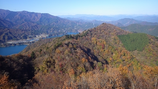 画像を等倍で表示します 画像