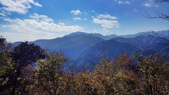 画像を等倍で表示します 画像