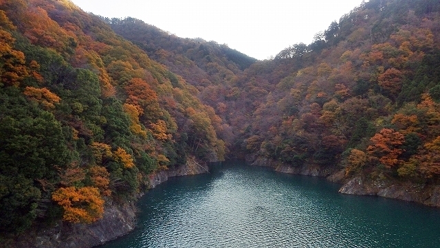 画像を等倍で表示します 画像