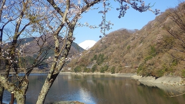 画像を等倍で表示します 画像