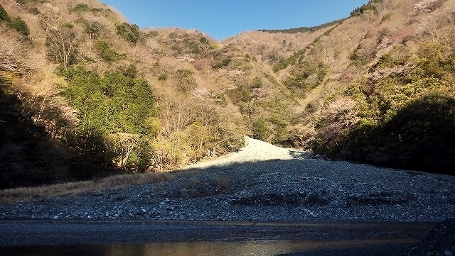 画像を等倍で表示します 画像
