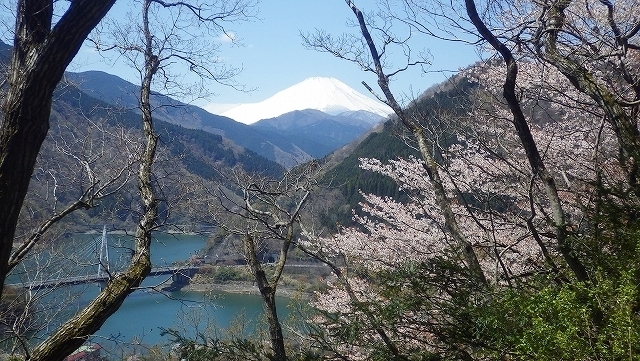 画像を等倍で表示します 画像