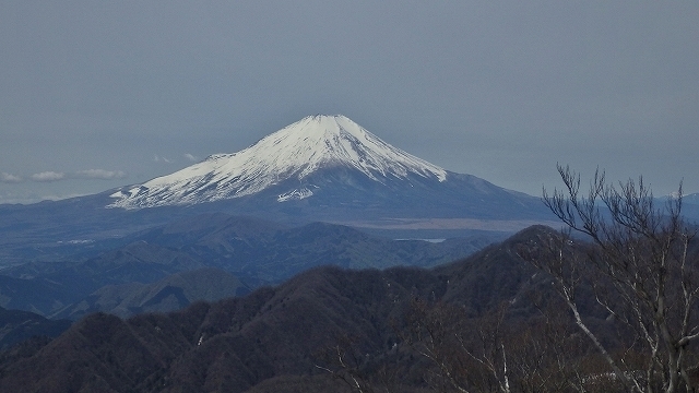 画像を等倍で表示します 画像