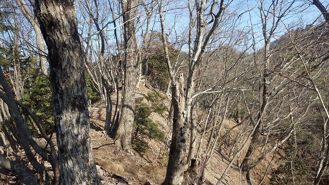 IGA_3790.jpg