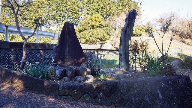 IGA_3952.jpg
