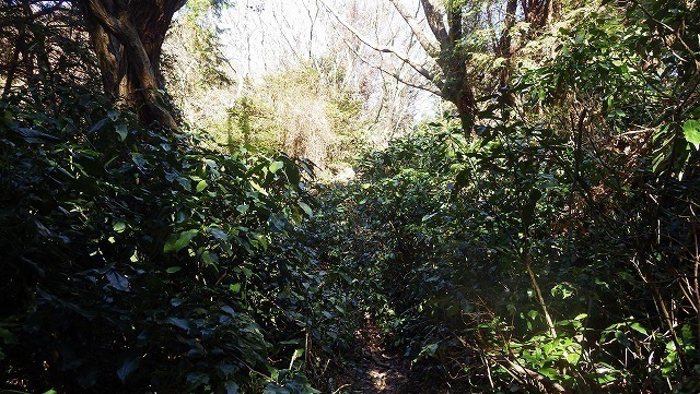 IGA_3957.jpg
