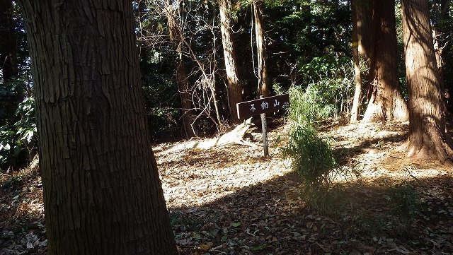 IGA_3958.jpg