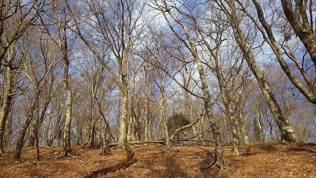 IGA_4043.jpg