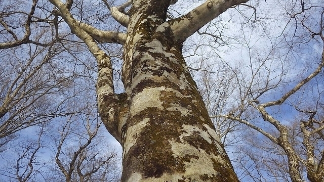 IGA_4049.jpg