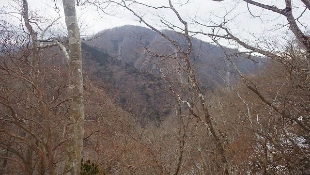 IGA_4103.jpg