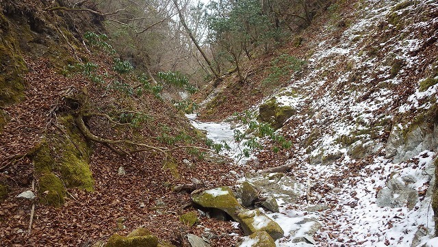 IGA_4108.jpg