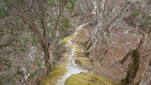 IGA_4112.jpg