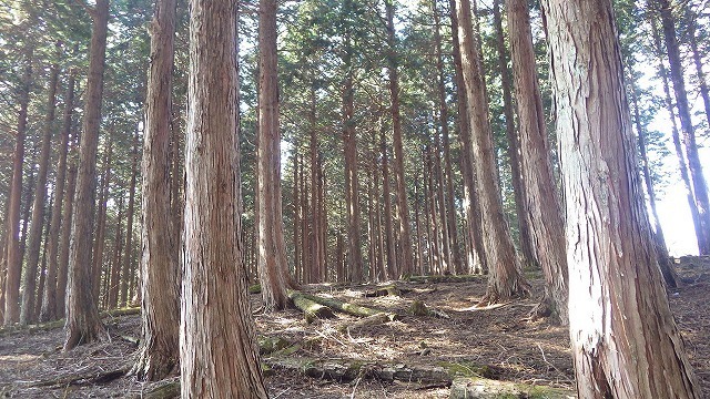 IGA_4146.jpg