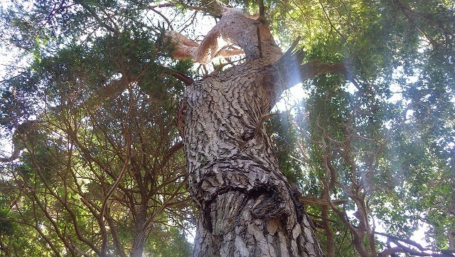IGA_4297.jpg